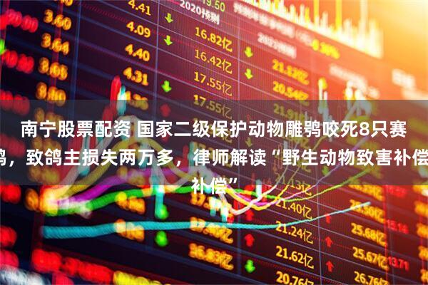 南宁股票配资 国家二级保护动物雕鸮咬死8只赛鸽，致鸽主损失两万多，律师解读“野生动物致害补偿”
