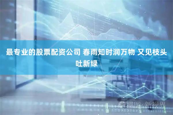 最专业的股票配资公司 春雨知时润万物 又见枝头吐新绿